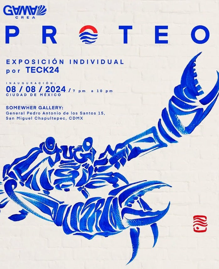 PROTEO x Teck24