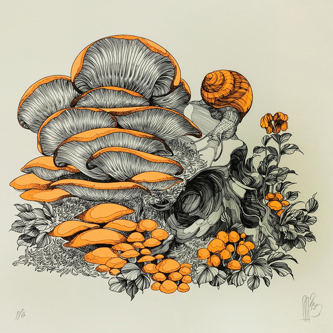 "Fungi" - Diego Andrade