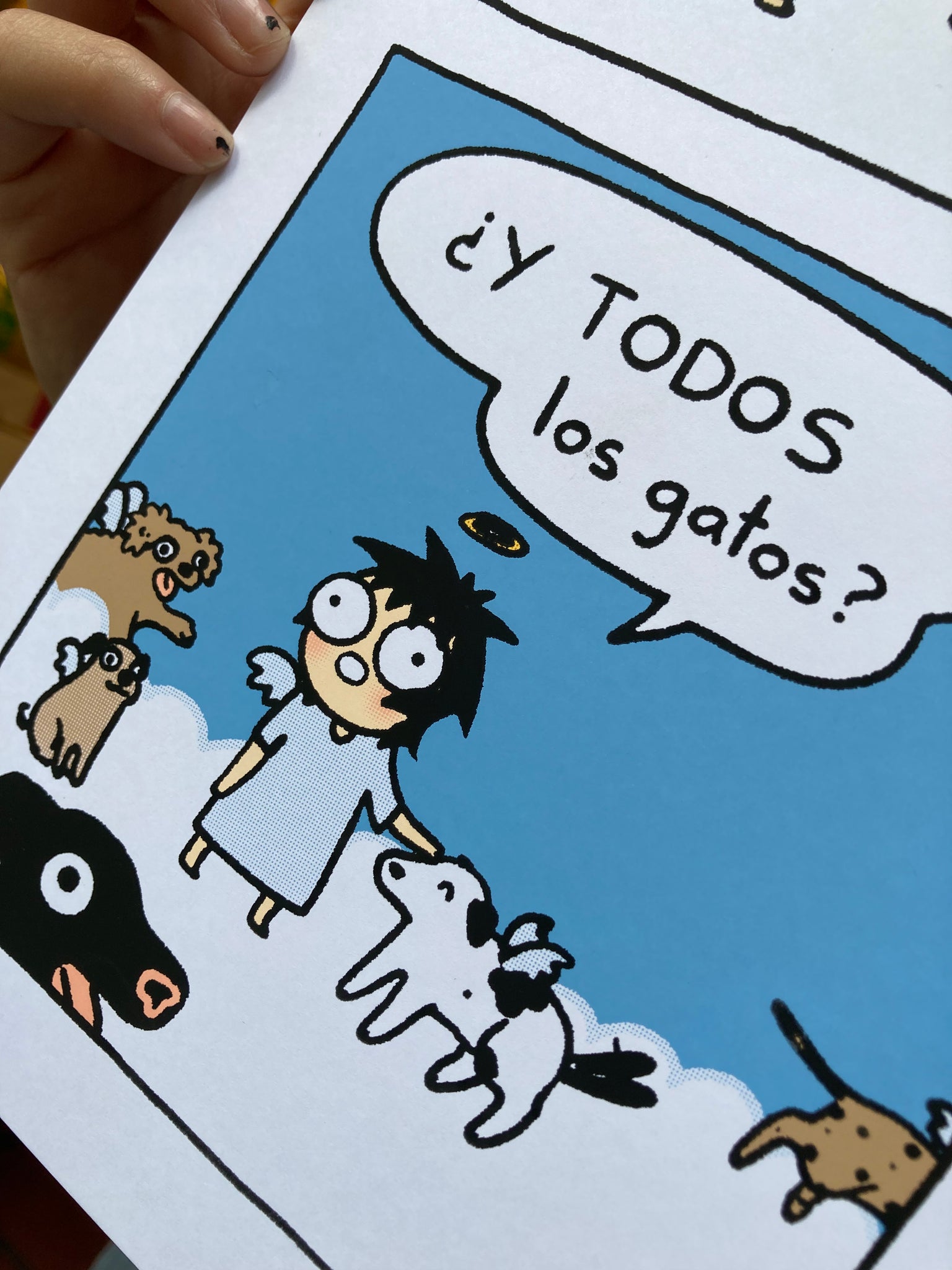 ¿Dónde está mi gato? - Sarah Andersen